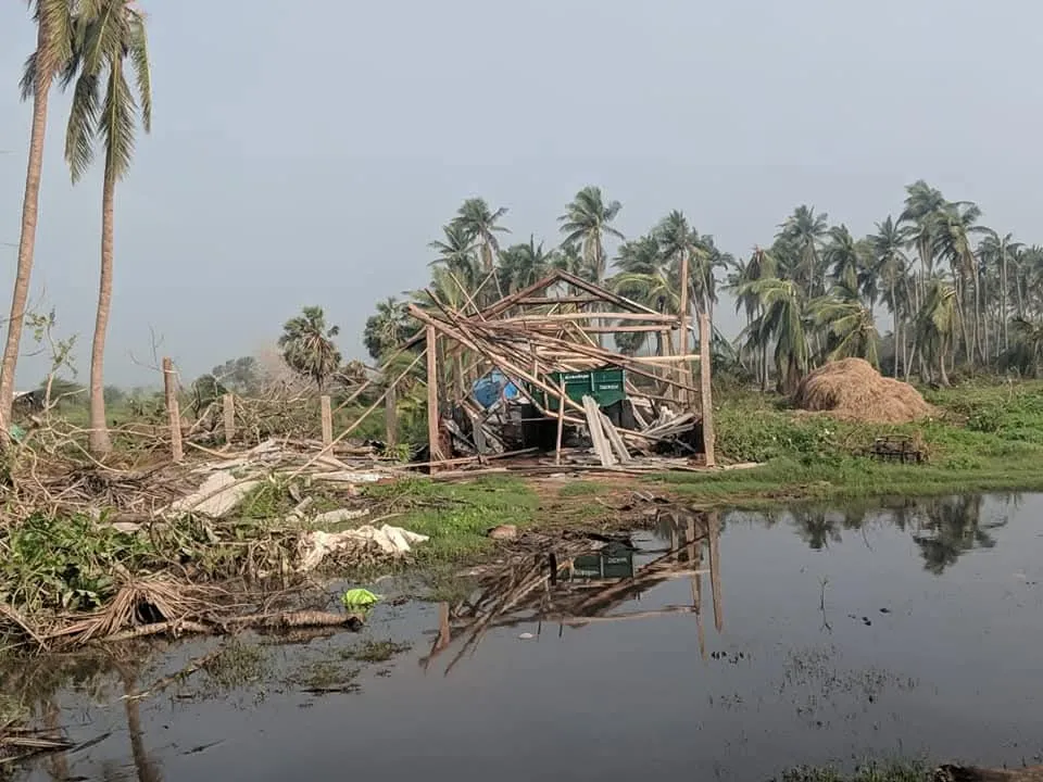 Cyclone damage